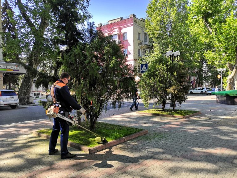 В Туапсе дезинфекцию улиц совместили с озеленением