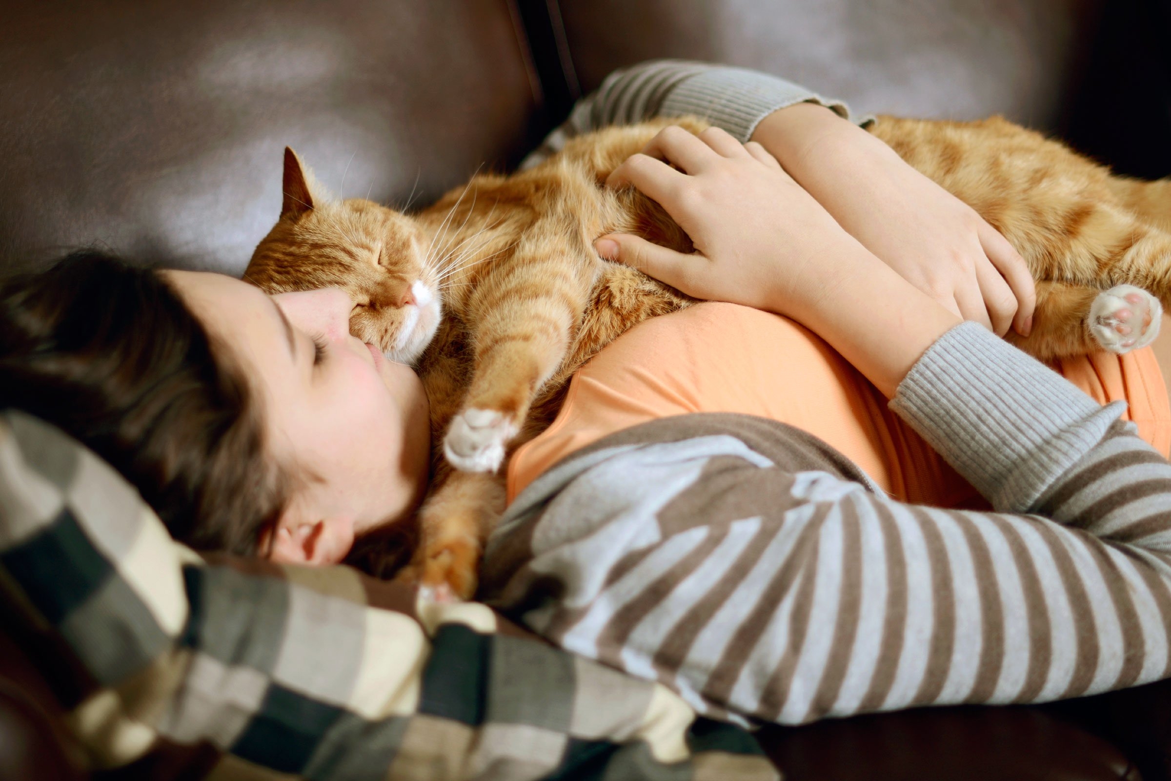 Почему кошки спят со мной. Девушка в обнимку с котом. Девушка обнимает кошку.