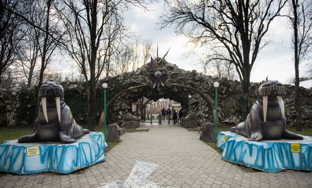 Сафари парк краснодар фото 2022