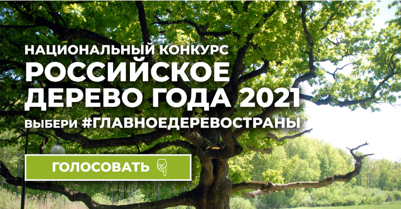 агой новости дня сегодня. Смотреть фото агой новости дня сегодня. Смотреть картинку агой новости дня сегодня. Картинка про агой новости дня сегодня. Фото агой новости дня сегодня
