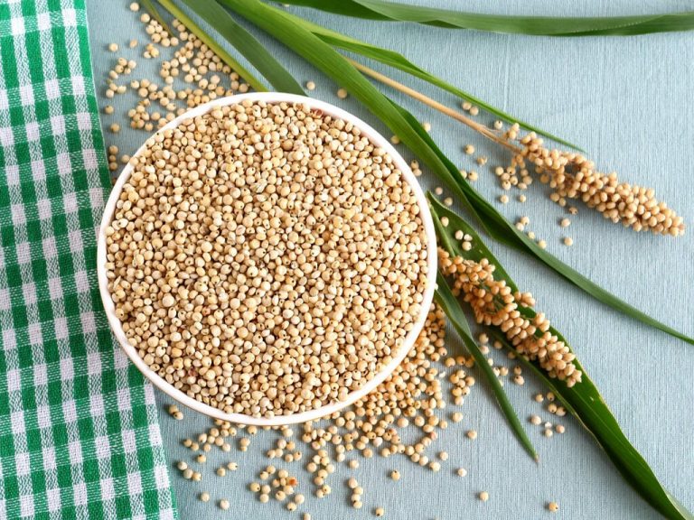 Сорго: древнее зерно с клетчаткой и без глютена, о котором стоит знать