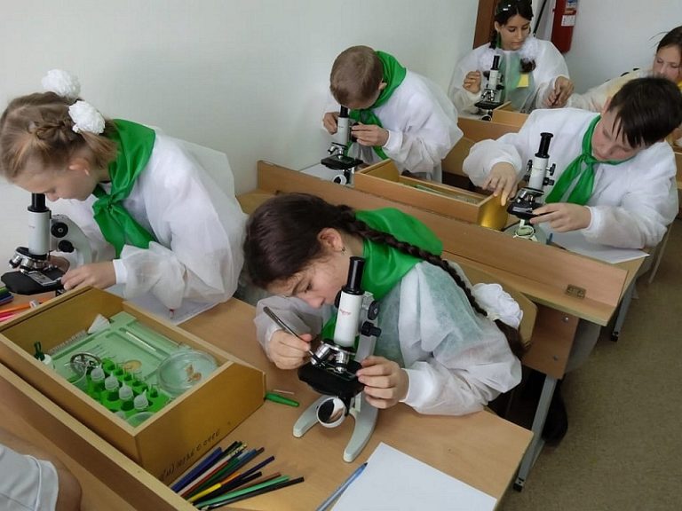 К концу 2024 года при школах Кубани будут работать 782 «Точек роста»
