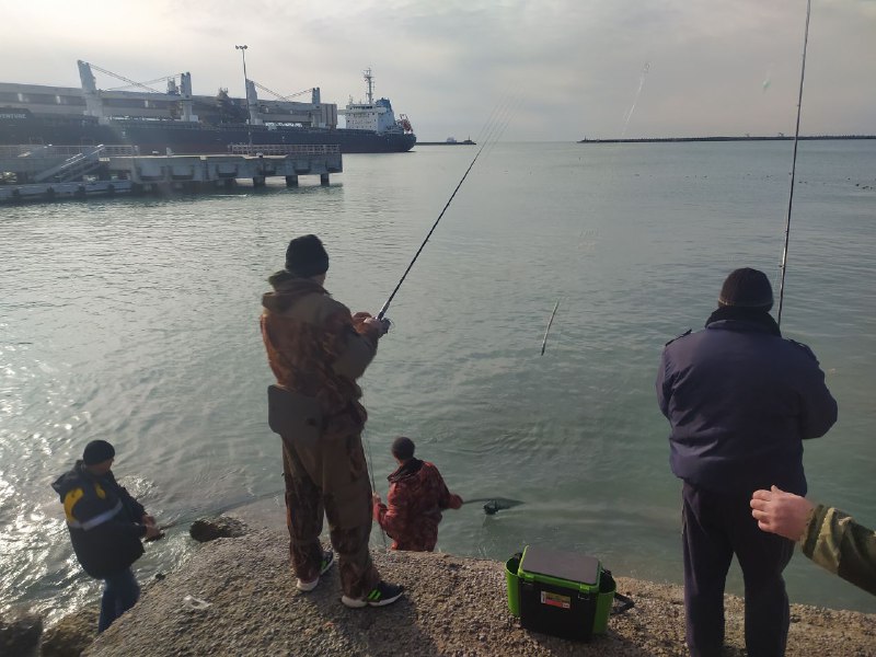 В сочи ловят. Туапсе рыбаки. Рыбаки в порту Сочи. Рыбаки в Сочи ловят форель. Ловля форели в Туапсинском районе.