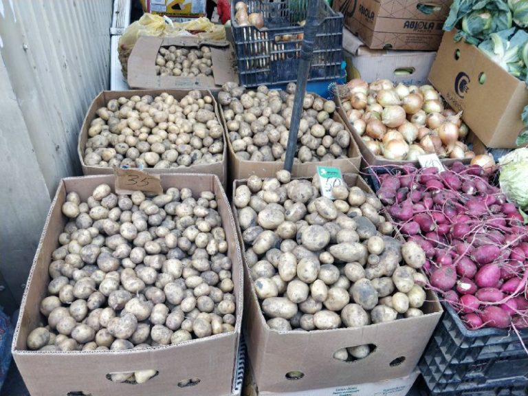 Мониторинг в Туапсинском районе показал, как за полгода изменились цены на продукты