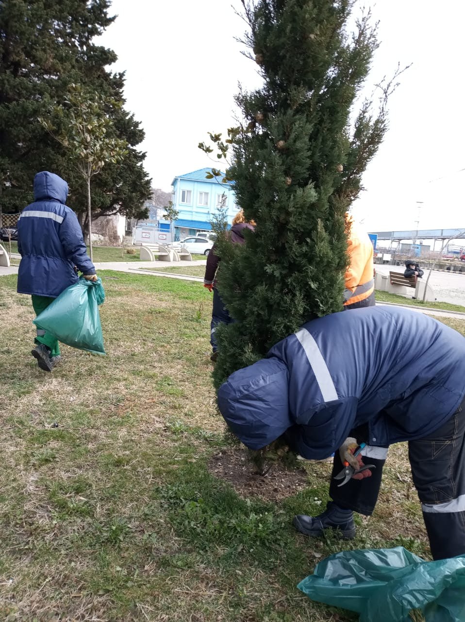 Наведение санитарного порядка