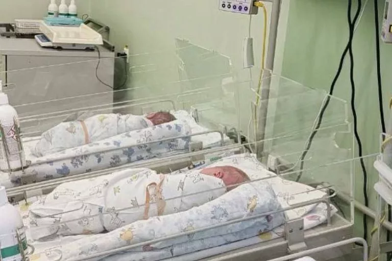 Закон хотят поправить: родившимся за границей детям россиян будет проще получить гражданство РФ