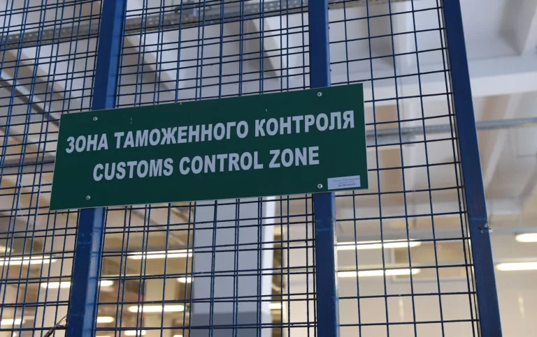 Таможенники во Внуково в посылке обнаружили человеческий череп