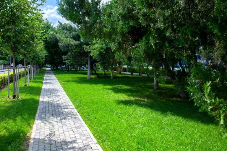 Ещё одной зелёной зоне в Краснодаре дали название и будут благоустраивать