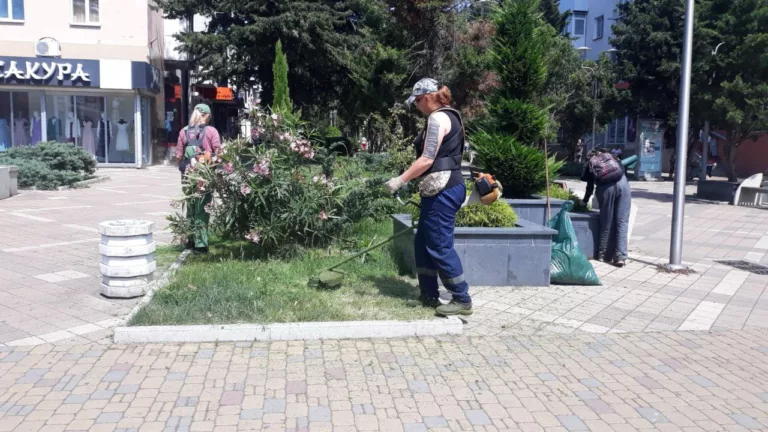 Больше 46 кубометров воды уходит на ежедневный полив газонов в Туапсе