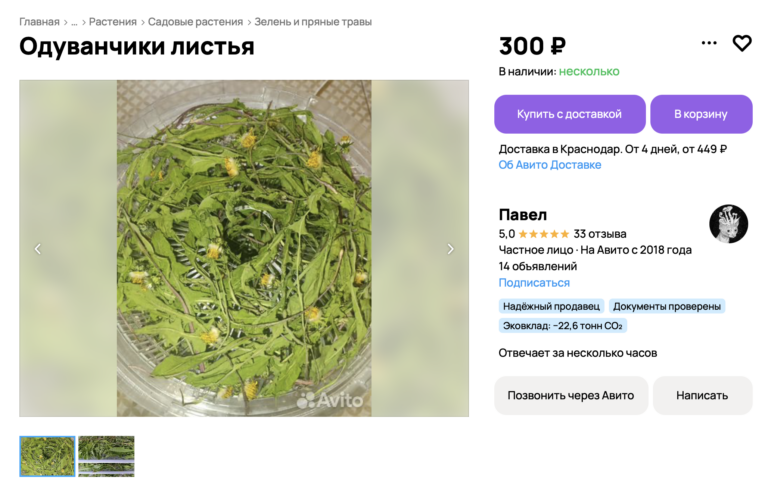 Почему одуванчики стоят от 1000 рублей за кило — и готовы ли вы их есть?